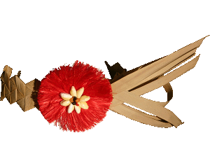 Corona de Cabeza Tahitiana - Niño